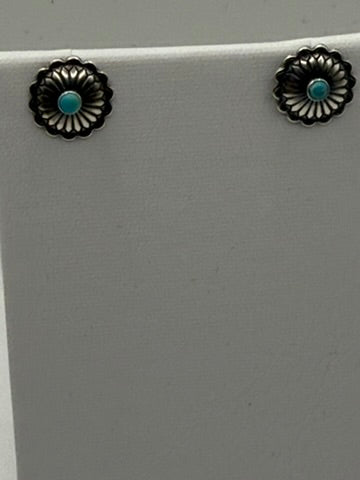Turquoise & SS Earring